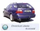 Simons Impianto di scarico sportivo in acciaio cromato 90/120 mm ovale per SAAB 9-5 Turbo 2.0/2.3 Berlina/Station wagon Per modelli senza apertura nella minigonna posteriore